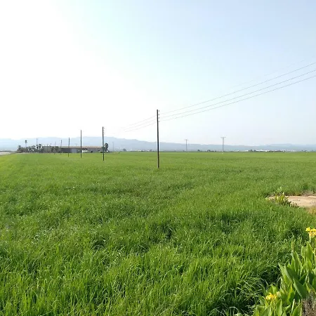Aube Deltebre